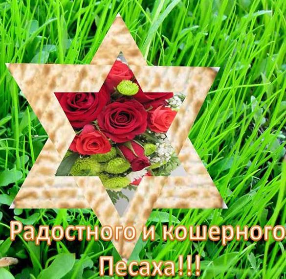 Скачать бесплатно Картинка на праздник Песах на сайте WishesCards.ru