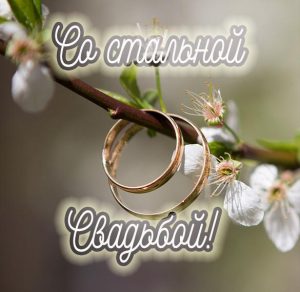 Скачать бесплатно Картинка на стальную свадьбу на сайте WishesCards.ru