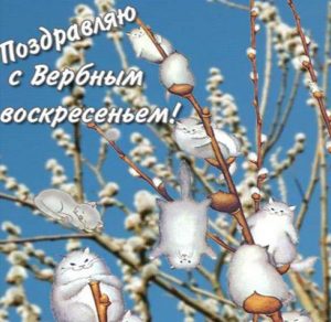 Скачать бесплатно Картинка на Вербное Воскресенье на сайте WishesCards.ru