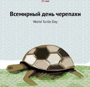 Скачать бесплатно Картинка на всемирный день черепахи на сайте WishesCards.ru