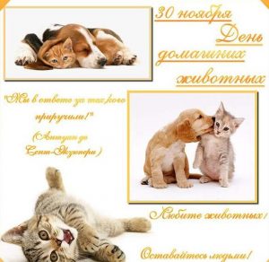 Скачать бесплатно Картинка на всемирный день домашних животных 30 ноября на сайте WishesCards.ru