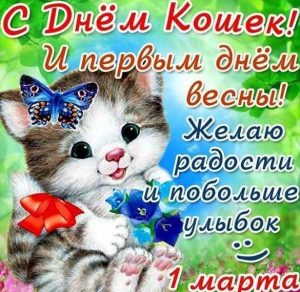 Скачать бесплатно Картинка на всемирный день кошек на сайте WishesCards.ru