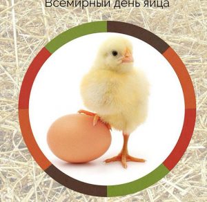 Скачать бесплатно Картинка на всемирный день яйца на сайте WishesCards.ru