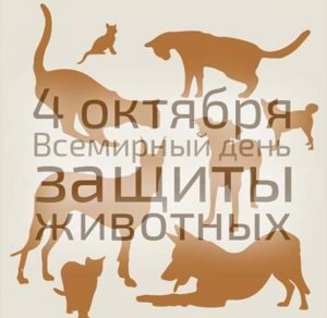 Скачать бесплатно Картинка на всемирный день защиты животных на сайте WishesCards.ru