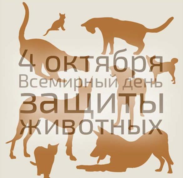 Скачать бесплатно Картинка на всемирный день защиты животных на сайте WishesCards.ru