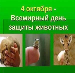 Скачать бесплатно Картинка на всемирный день животных 4 октября на сайте WishesCards.ru
