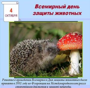 Скачать бесплатно Картинка на всемирный день животных на сайте WishesCards.ru