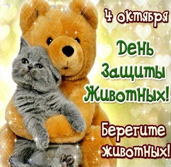 Скачать бесплатно Картинка на всемирный праздник день защиты животных на сайте WishesCards.ru