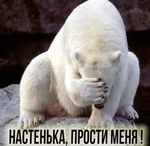 Скачать бесплатно Картинка Настенька прости меня на сайте WishesCards.ru
