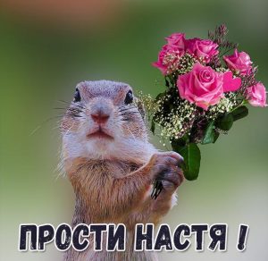 Скачать бесплатно Картинка Настя прости на сайте WishesCards.ru