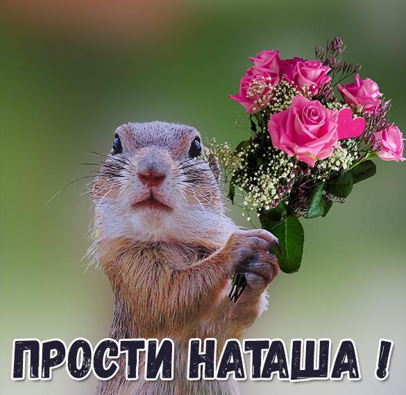 Скачать бесплатно Картинка Наташа прости на сайте WishesCards.ru