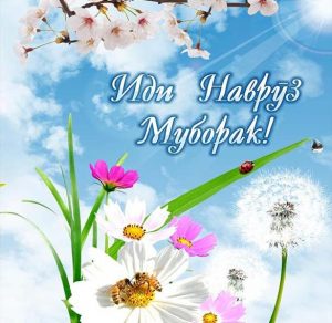 Скачать бесплатно Картинка Навруз Муборак на сайте WishesCards.ru