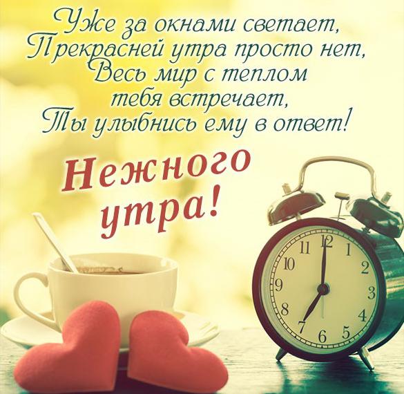 Скачать бесплатно Картинка нежного утра на сайте WishesCards.ru