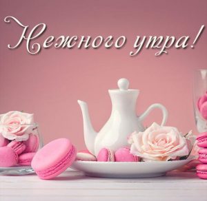 Скачать бесплатно Картинка нежного утра с надписью красивая на сайте WishesCards.ru