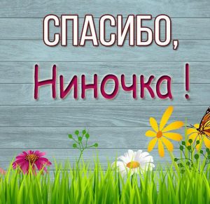Скачать бесплатно Картинка Ниночка спасибо на сайте WishesCards.ru