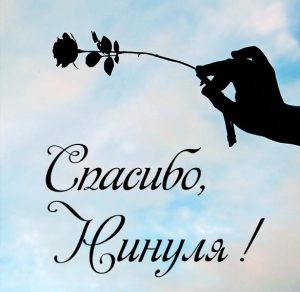 Скачать бесплатно Картинка Нинуля спасибо на сайте WishesCards.ru
