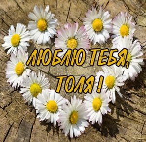 Скачать бесплатно Картинка о любви к Толе на сайте WishesCards.ru