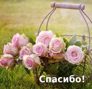Скачать бесплатно Картинка открытка спасибо на сайте WishesCards.ru