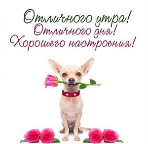Скачать бесплатно Картинка отличного утра дня и хорошего настроения на сайте WishesCards.ru
