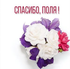 Скачать бесплатно Картинка Поля спасибо на сайте WishesCards.ru