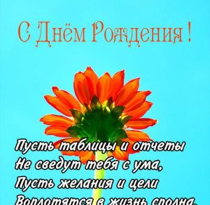 Скачать бесплатно Картинка поздравление главного бухгалтера с днем рождения на сайте WishesCards.ru