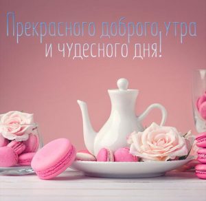 Скачать бесплатно Картинка прекрасного доброго утра и чудесного дня на сайте WishesCards.ru