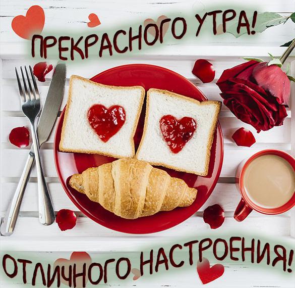 Скачать бесплатно Картинка прекрасного утра и отличного настроения на сайте WishesCards.ru
