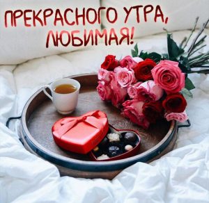 Скачать бесплатно Картинка прекрасного утра любимая красивая на сайте WishesCards.ru