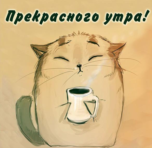 Скачать бесплатно Картинка прекрасного утра на сайте WishesCards.ru