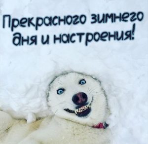 Скачать бесплатно Картинка прекрасного зимнего дня и настроения на сайте WishesCards.ru