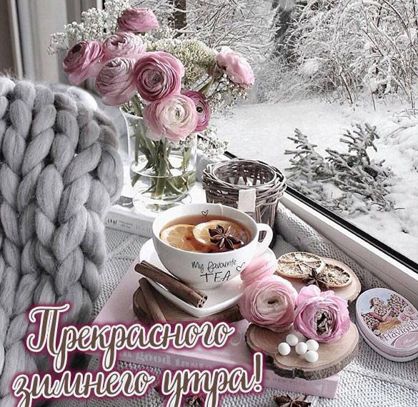 Скачать бесплатно Картинка прекрасного зимнего утра на сайте WishesCards.ru