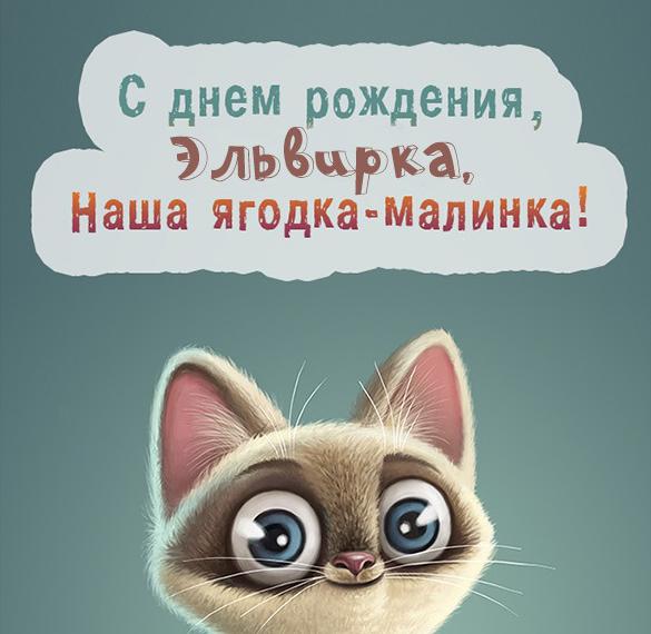 Скачать бесплатно Картинка прикол с днем рождения Эльвира на сайте WishesCards.ru