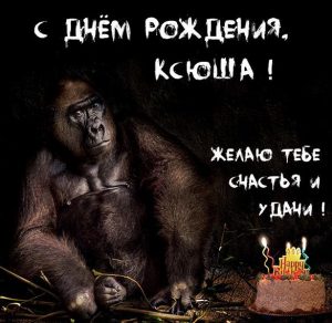 Скачать бесплатно Картинка прикол с днем рождения Ксюша на сайте WishesCards.ru