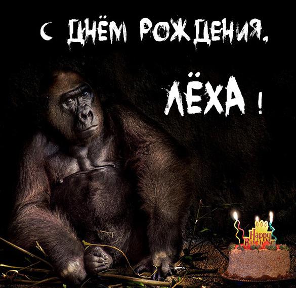 Скачать бесплатно Картинка прикол с днем рождения Леха на сайте WishesCards.ru