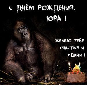 Скачать бесплатно Картинка прикол с днем рождения Юра на сайте WishesCards.ru