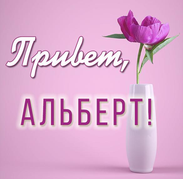 Скачать бесплатно Картинка привет Альберт на сайте WishesCards.ru