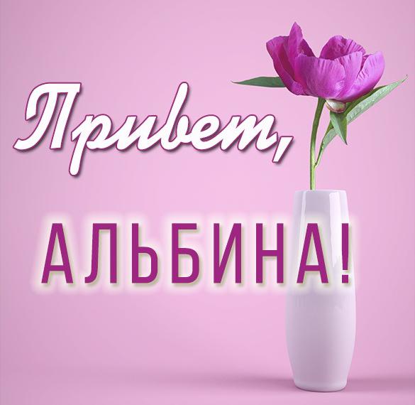 Скачать бесплатно Картинка привет Альбина на сайте WishesCards.ru