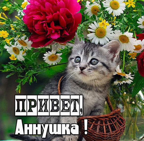 Скачать бесплатно Картинка привет Аннушка на сайте WishesCards.ru