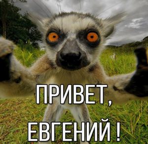 Скачать бесплатно Картинка привет Евгений на сайте WishesCards.ru