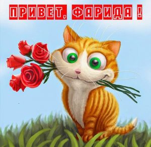 Скачать бесплатно Картинка привет Фарида на сайте WishesCards.ru