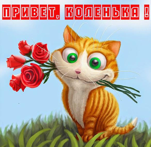 Скачать бесплатно Картинка привет Коленька на сайте WishesCards.ru