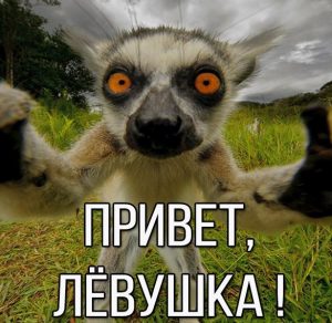 Скачать бесплатно Картинка привет Левушка на сайте WishesCards.ru