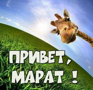 Скачать бесплатно Картинка привет Марат на сайте WishesCards.ru