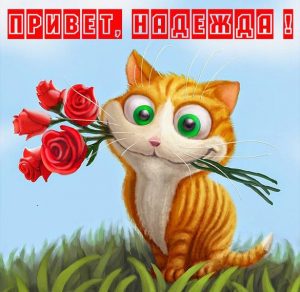 Скачать бесплатно Картинка привет Надежда на сайте WishesCards.ru