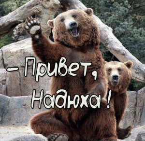 Скачать бесплатно Картинка привет Надюха на сайте WishesCards.ru