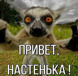 Скачать бесплатно Картинка привет Настенька на сайте WishesCards.ru
