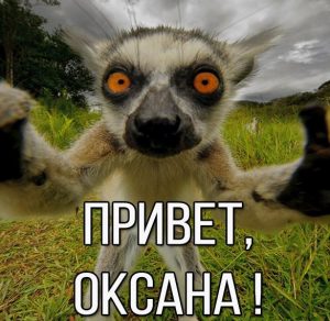 Скачать бесплатно Картинка привет Оксана на сайте WishesCards.ru