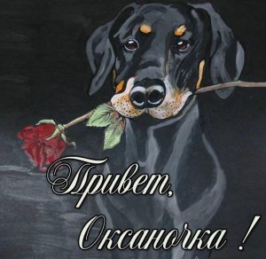 Скачать бесплатно Картинка привет Оксаночка на сайте WishesCards.ru