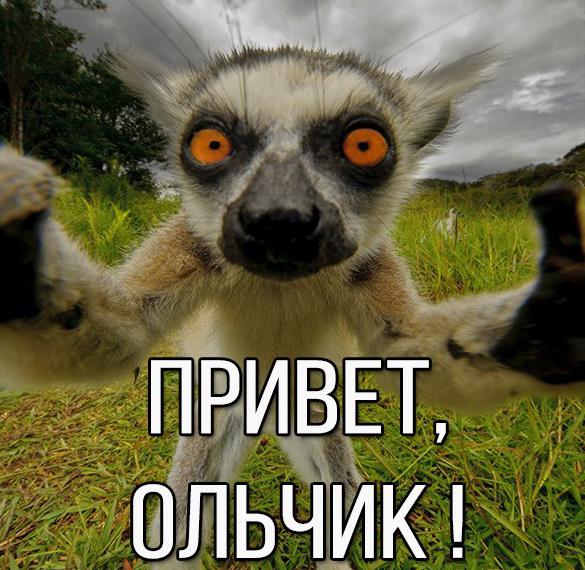 Скачать бесплатно Картинка привет Ольчик на сайте WishesCards.ru