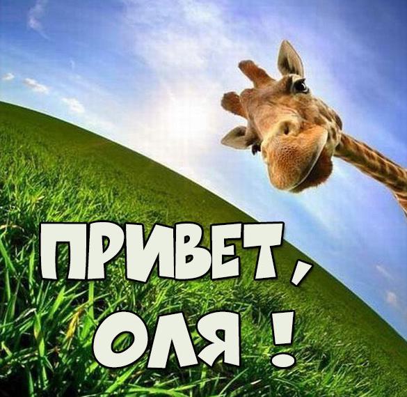 Скачать бесплатно Картинка привет Оля на сайте WishesCards.ru